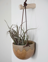 Load image into Gallery viewer, Paulowina Wood Wall Hook
