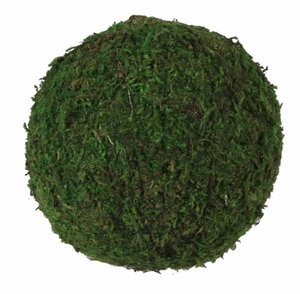 4" Moss Ball