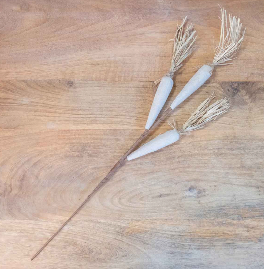 Natural Carrot Stem
