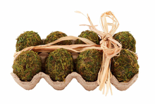 Load image into Gallery viewer, Moss Egg Filler
