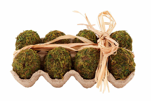 Moss Egg Filler