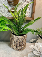 Load image into Gallery viewer, Fern in Round Basket
