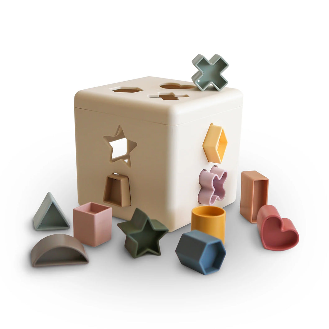 Shape Sorting Toy