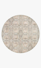 Load image into Gallery viewer, Zuma Silver / Multi Rug
