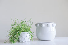 Load image into Gallery viewer, Planter With Raised Dots
