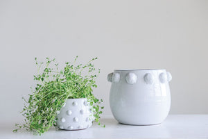 Planter With Raised Dots