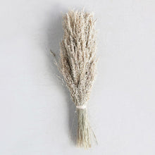 Load image into Gallery viewer, Dried Star Grass Bunch
