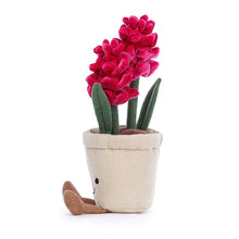Load image into Gallery viewer, Amuseable Hyacinth
