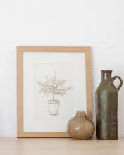Load image into Gallery viewer, Olive Tree Sketch
