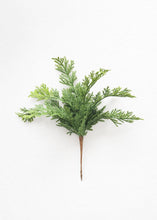 Load image into Gallery viewer, Cedar Pick
