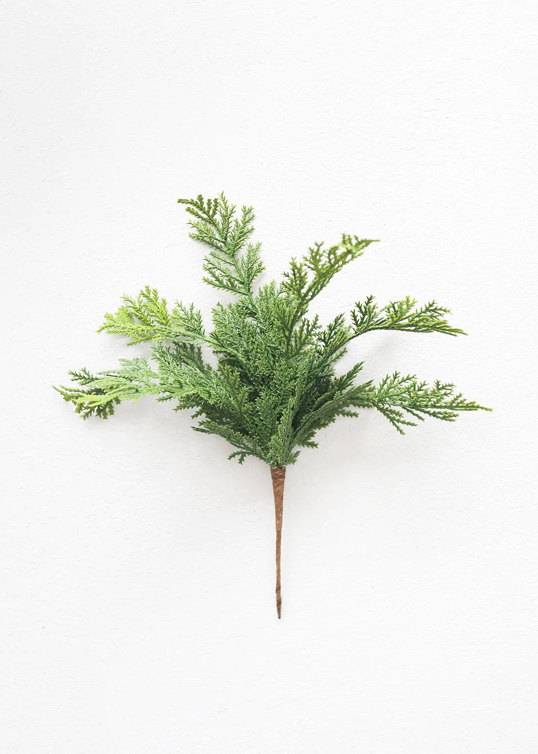 Cedar Pick