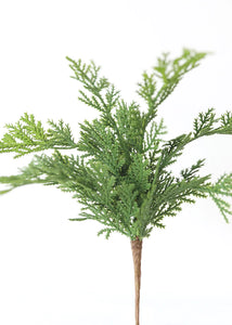 Cedar Pick